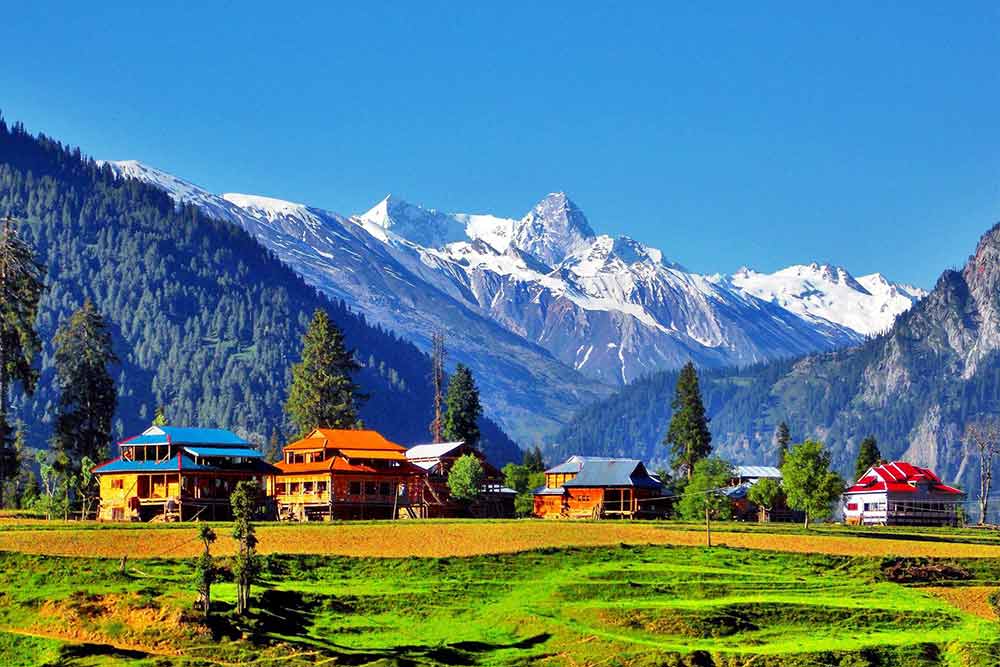 Himalayan Escape: Shimla, Manali & Kasol Expedition